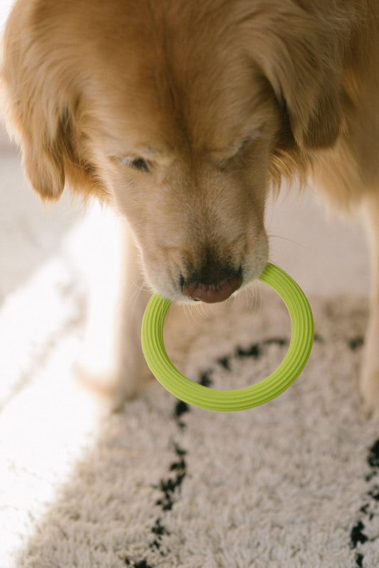 Loop Toy – Lime - Kitsune & Jo