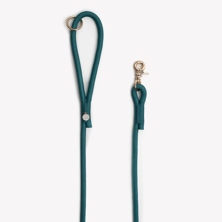 Green dog leash from Furlou with gold clasp on a white background