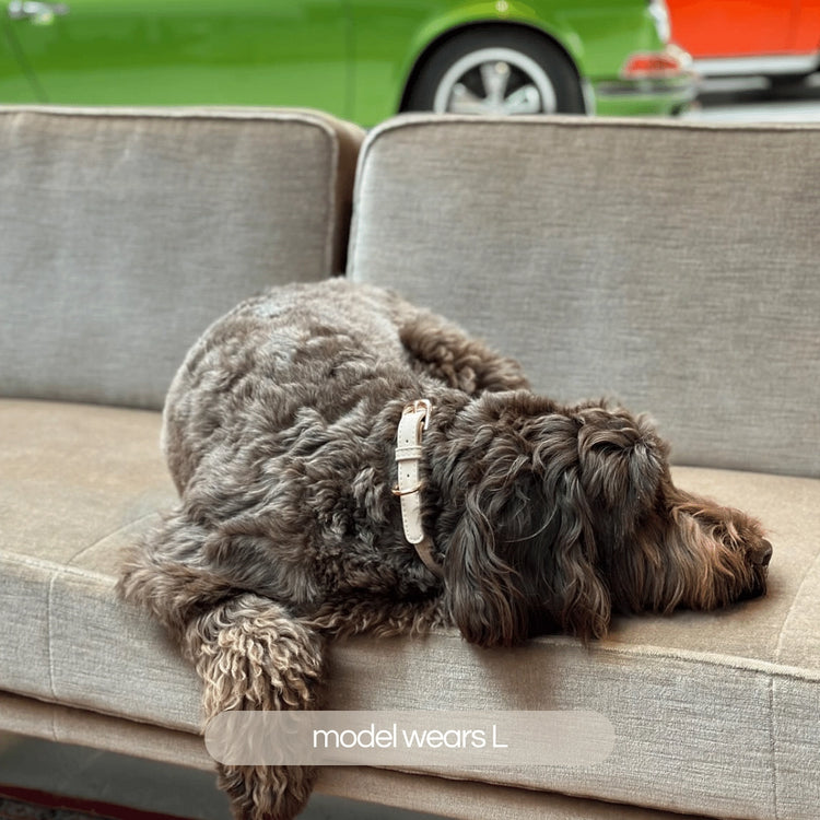 Collier en cuir végétal – Taupe