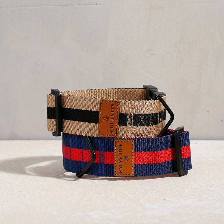 The City Dog Collar – Rue Saint-Honoré
