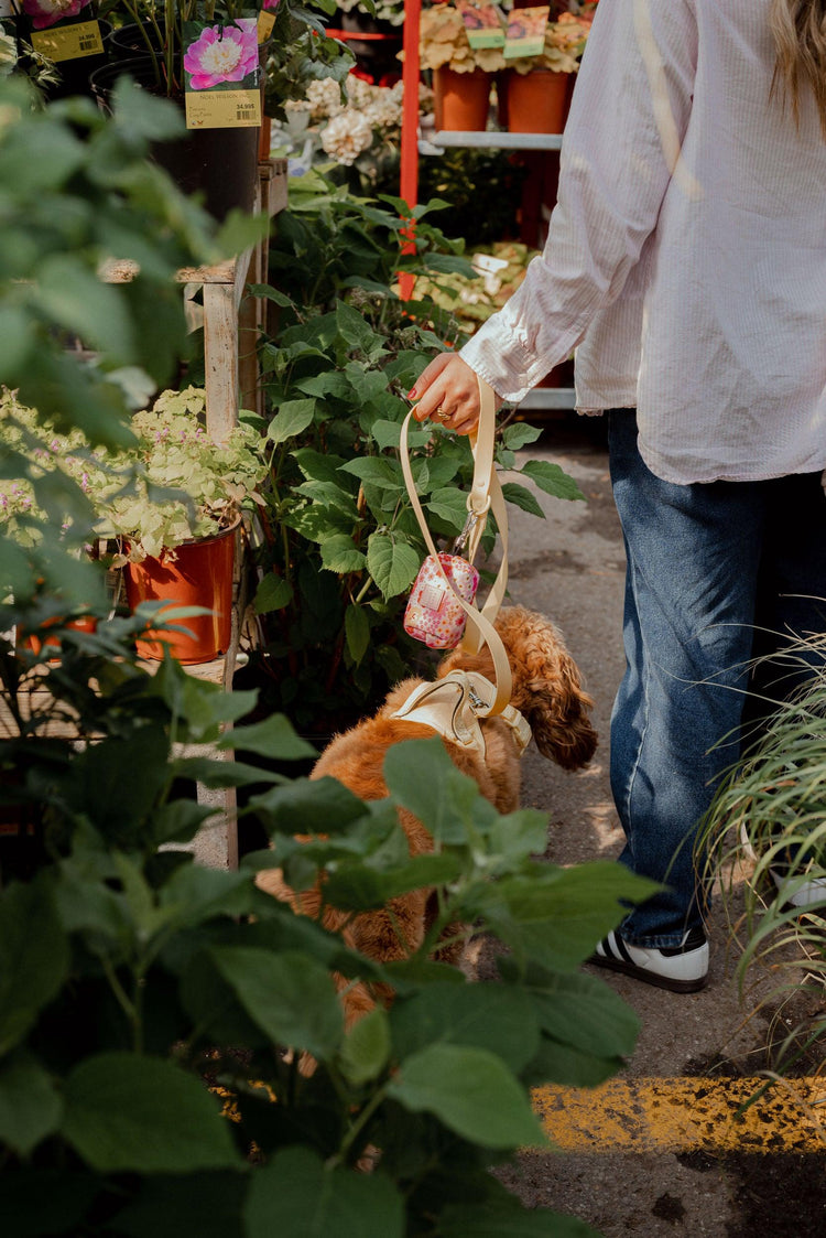 Limoncello 2.0 Harness - Kitsune & Jo