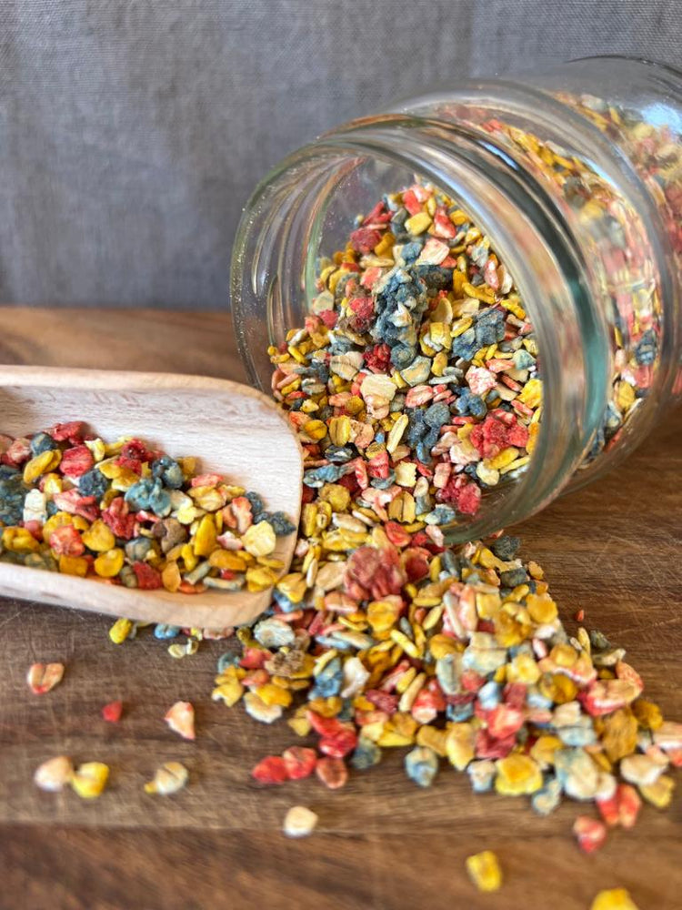 Rainbow Dogfetti - Meal Topper