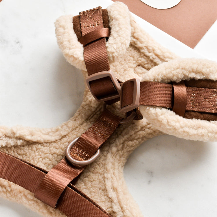 Aviator Harness – Brown