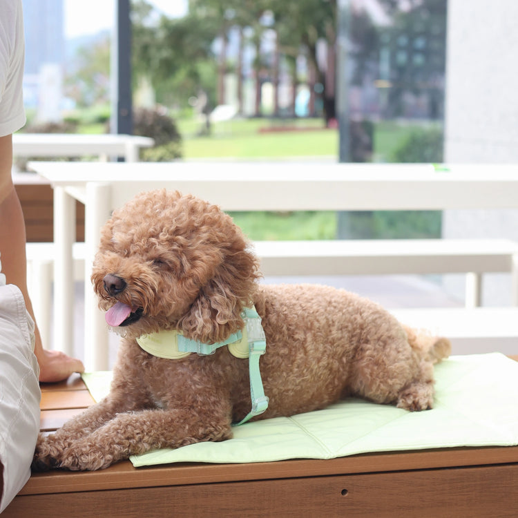 Light-Weight Travel Mat