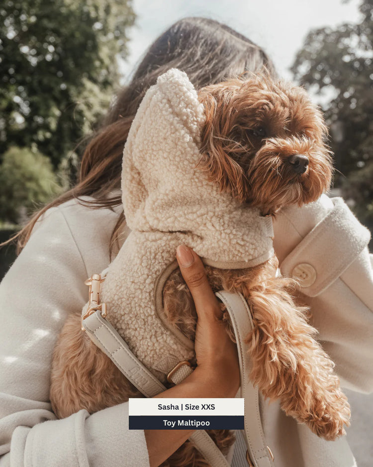 The Cosy Hoodie Harness