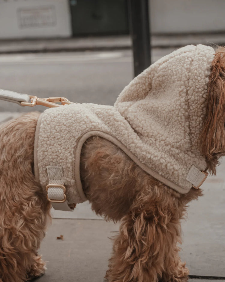The Cosy Hoodie Harness