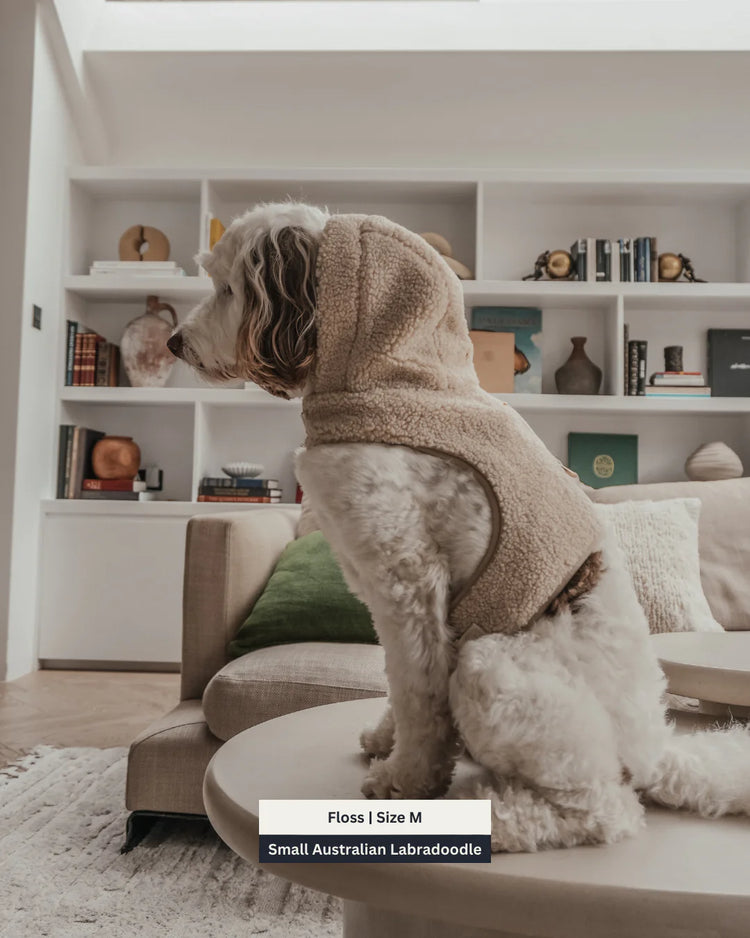 The Cosy Hoodie Harness