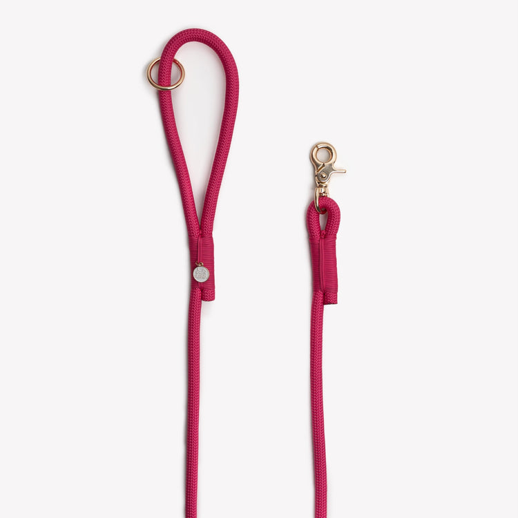 Pink dog leash with gold clasp on a white background
