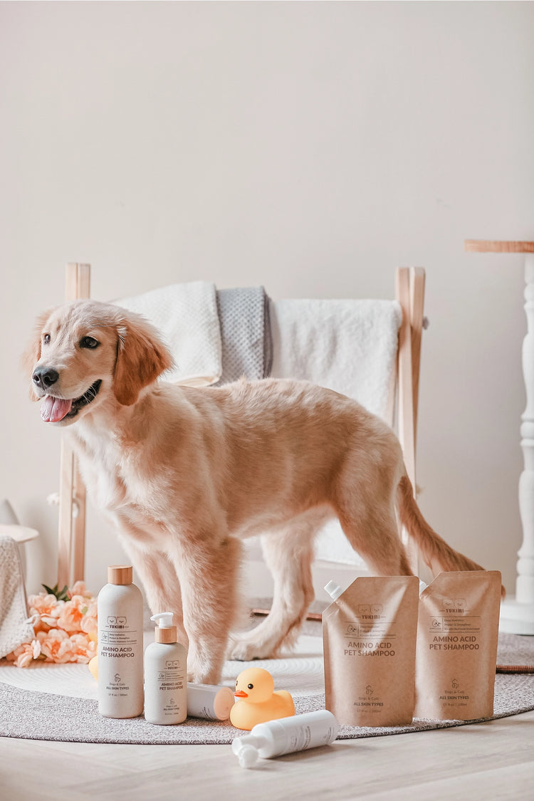 Nachfüllbeutel für Aminosäure-Haustiershampoo