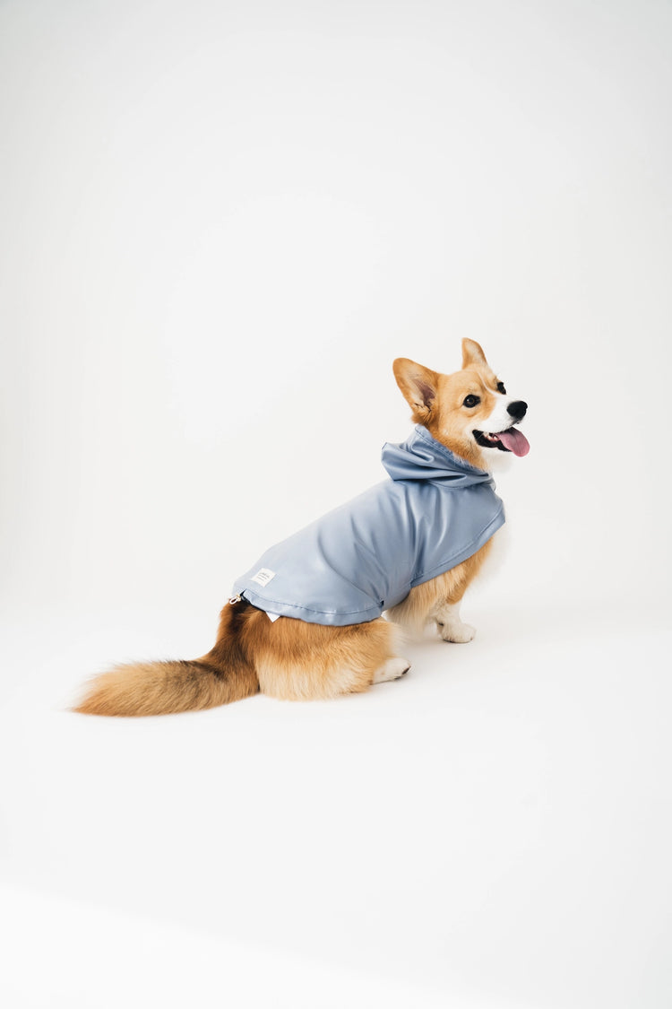 Dog Raincoat