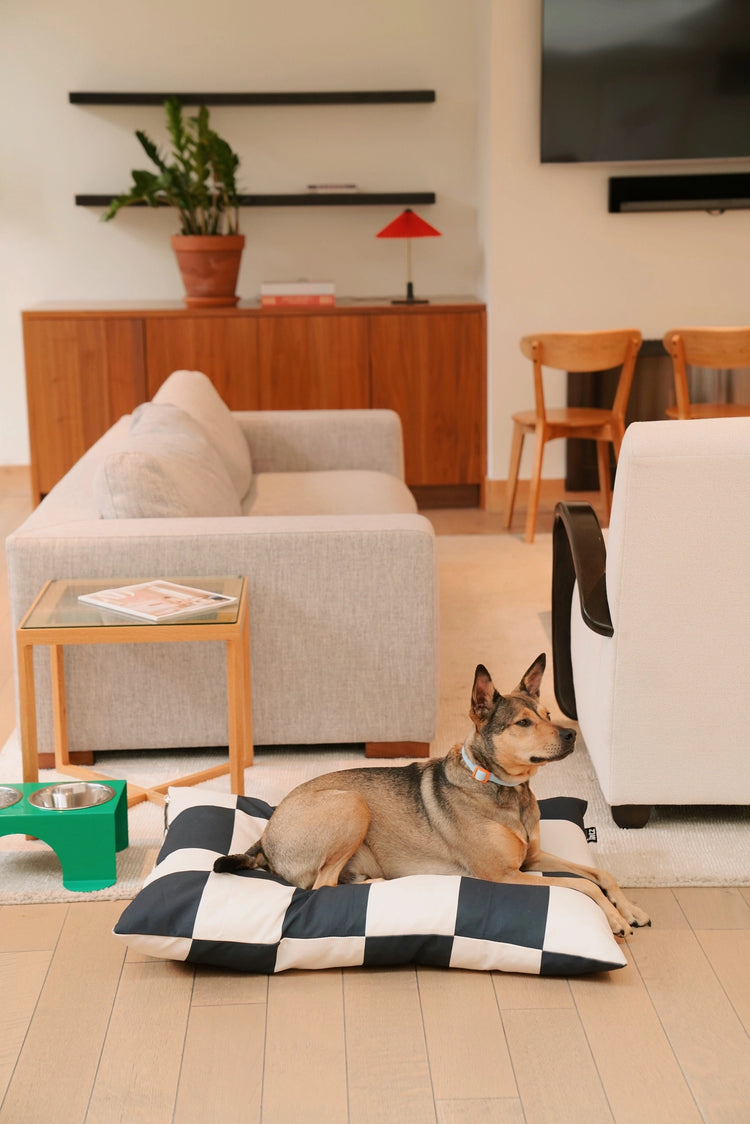 The Fritz Bed – Goalgetter