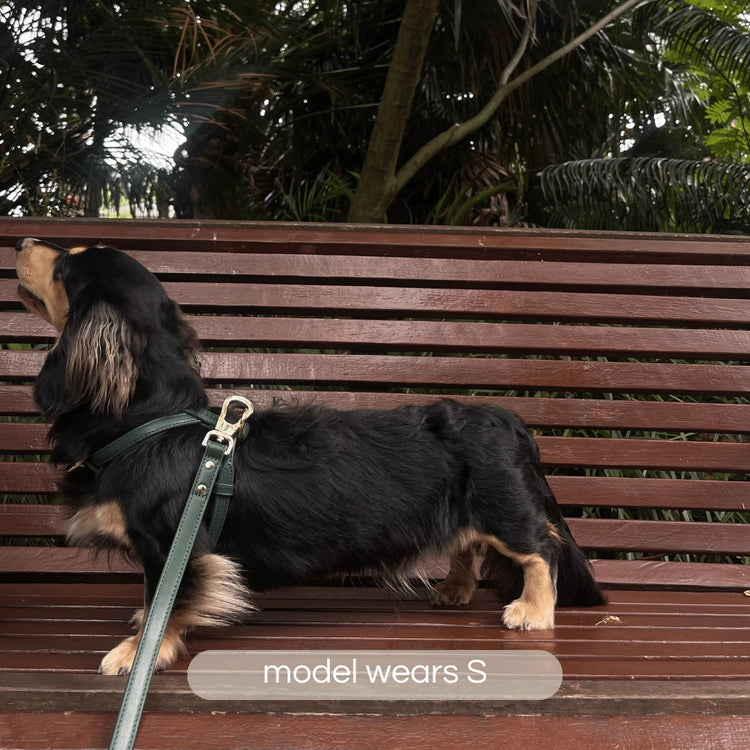 Harnais en cuir végétal – Vert bouteille