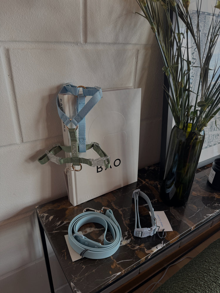 Lake Day Hundegeschirr