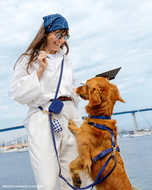 Cloud Lite Dog Harness – Signature Navy