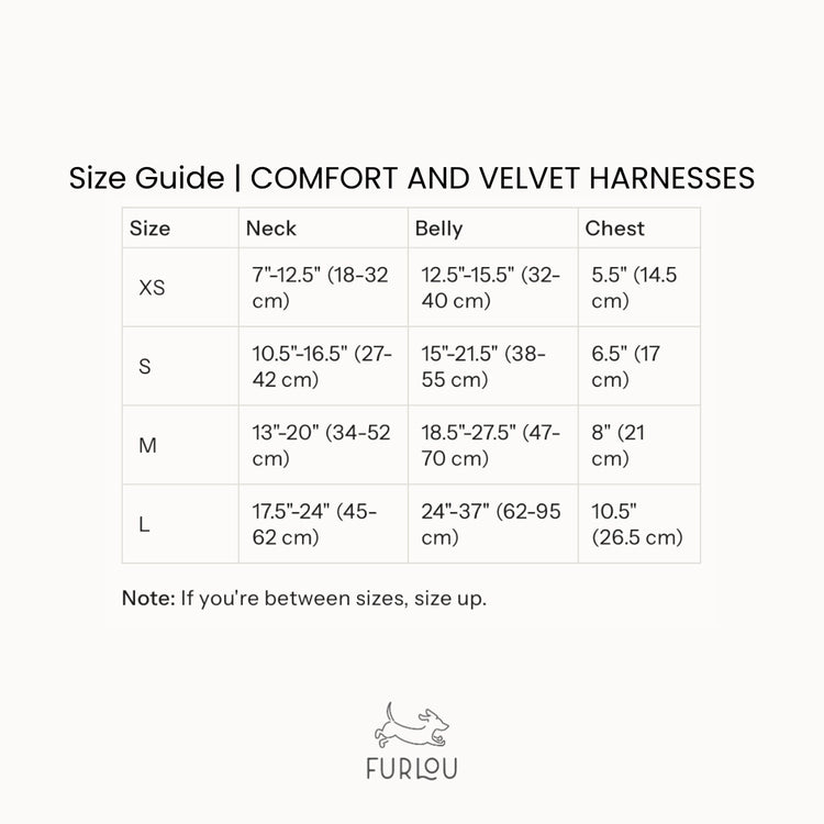 Harnais Sherpa – Brun