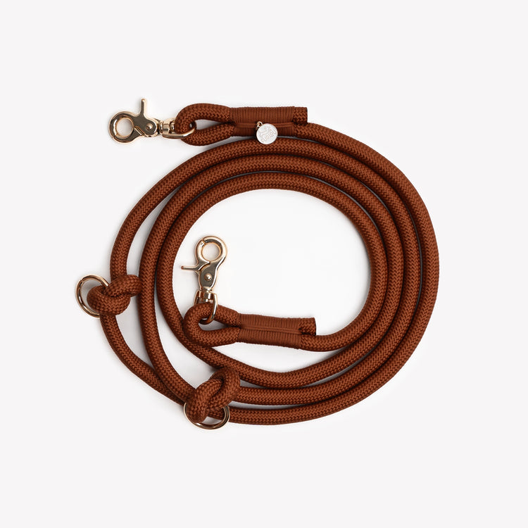 Brown dog leash with metal clips on a white background