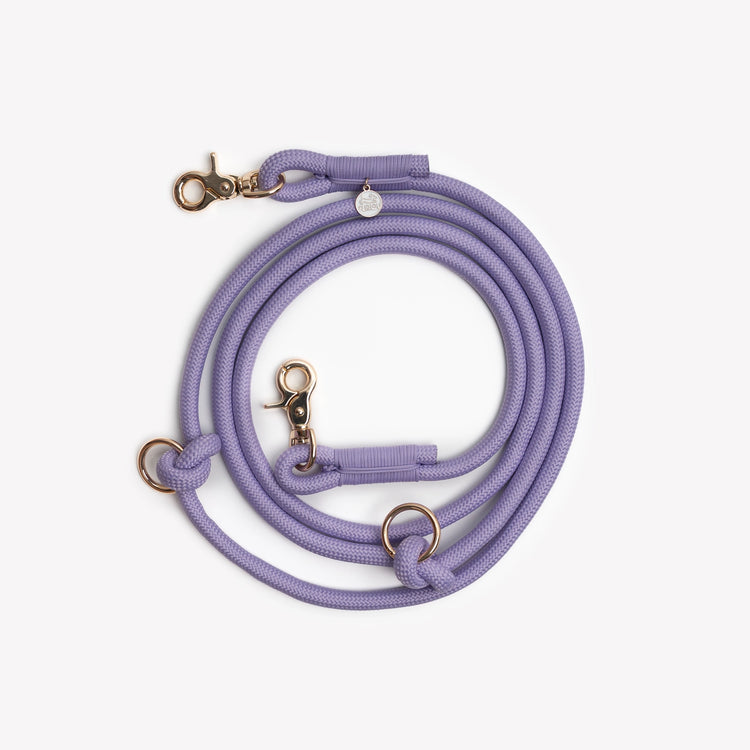 Purple dog leash with gold hardware on a white background