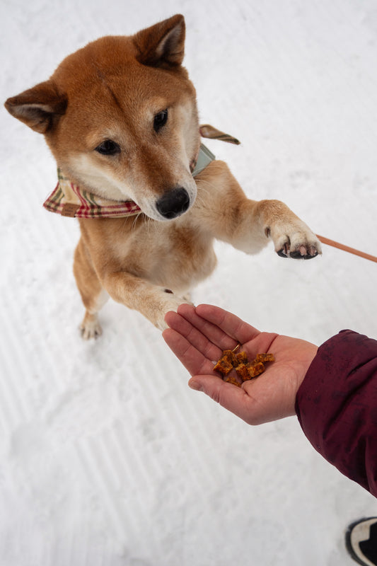Duck Nuggets - Air-Dried Meat Bites