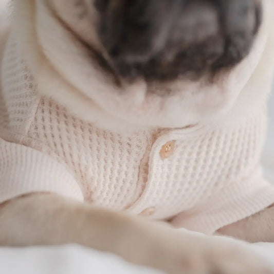 Waffle knit tee - Kitsune & Jo