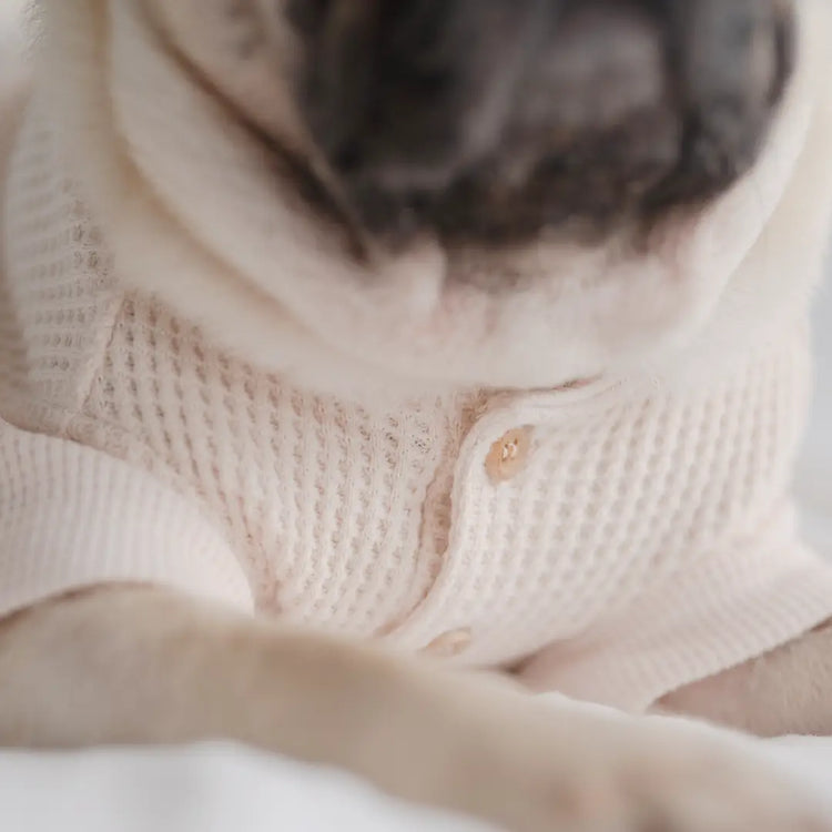 Waffle knit tee - Kitsune & Jo