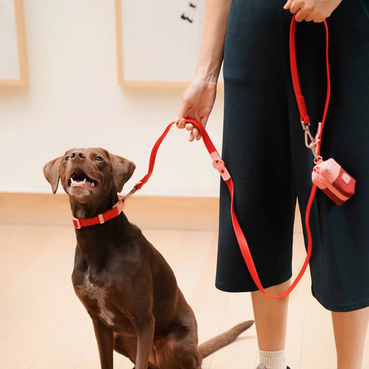 The Fritz Collar – Cherry