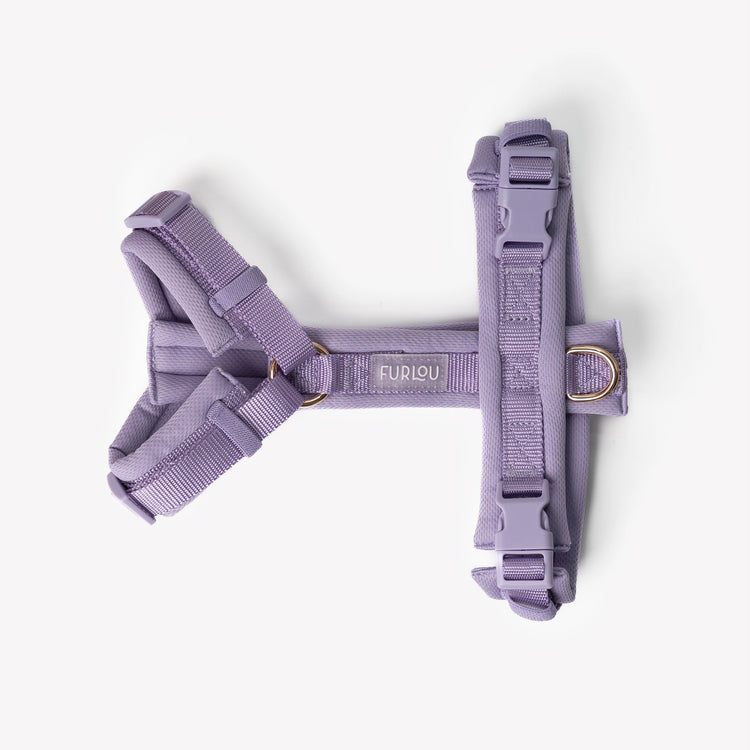 Purple dog harness from Furlou set on a white background