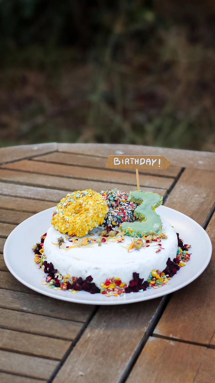 Rainbow Dogfetti - Meal Topper