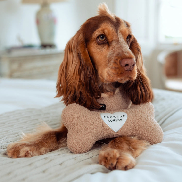 Giocattolo in osso Teddy Rupert