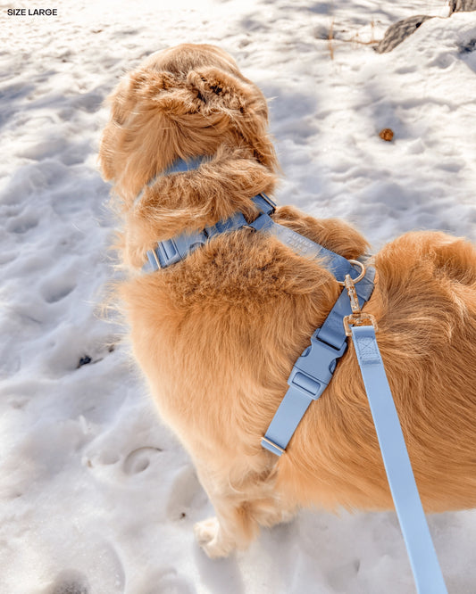 Cloud Lite Hundegeschirr – Malibu