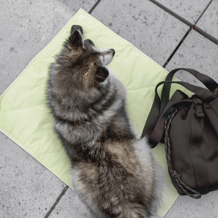 Light-Weight Travel Mat