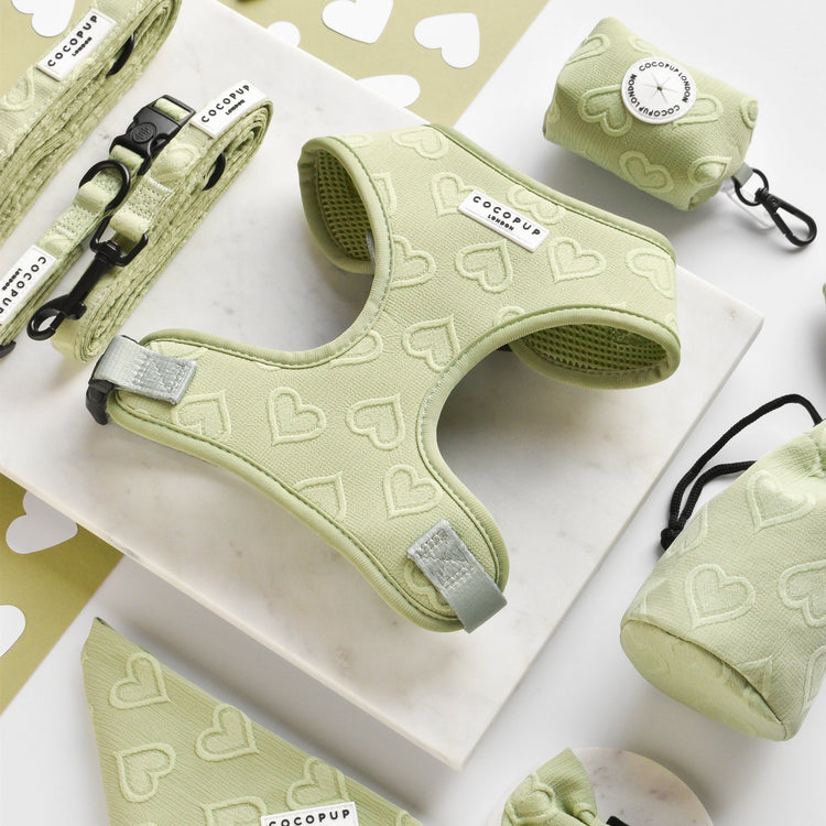 Salbeiherz verstellbares Halsgeschirr