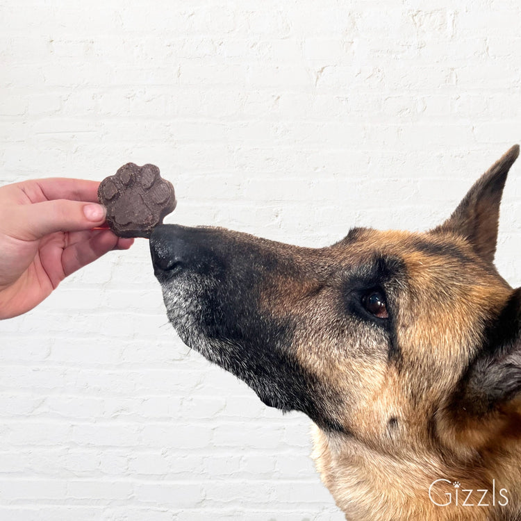 Soft Bites – Kaubare Hundesnacks mit Erdnussbutter und Banane