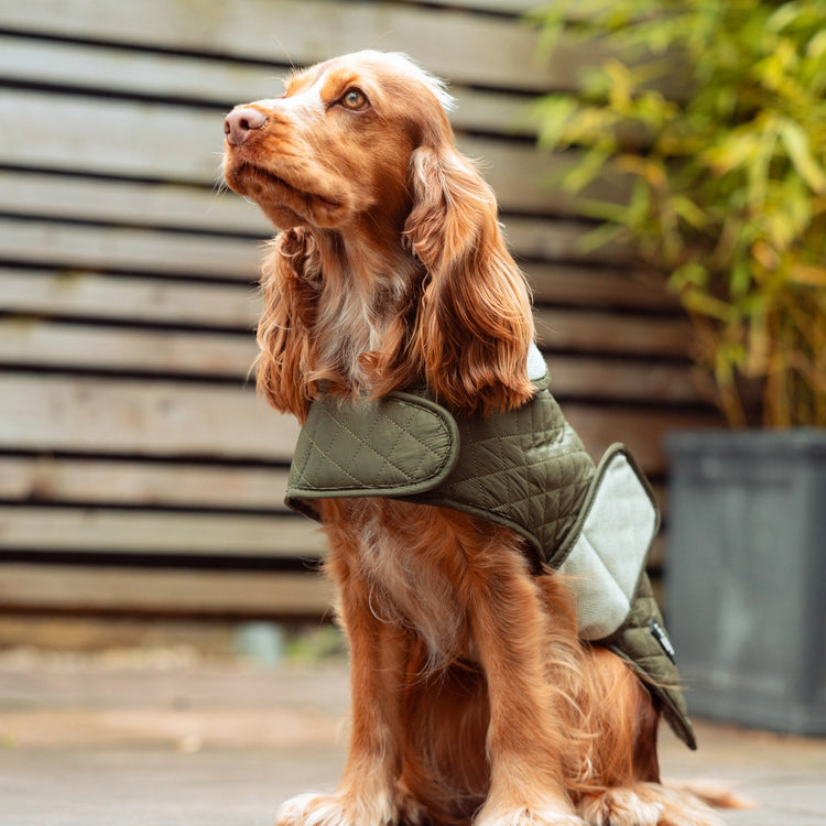 Quilted Dog Coat - Countryside