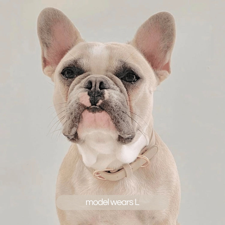 Collier en cuir végétal – Taupe