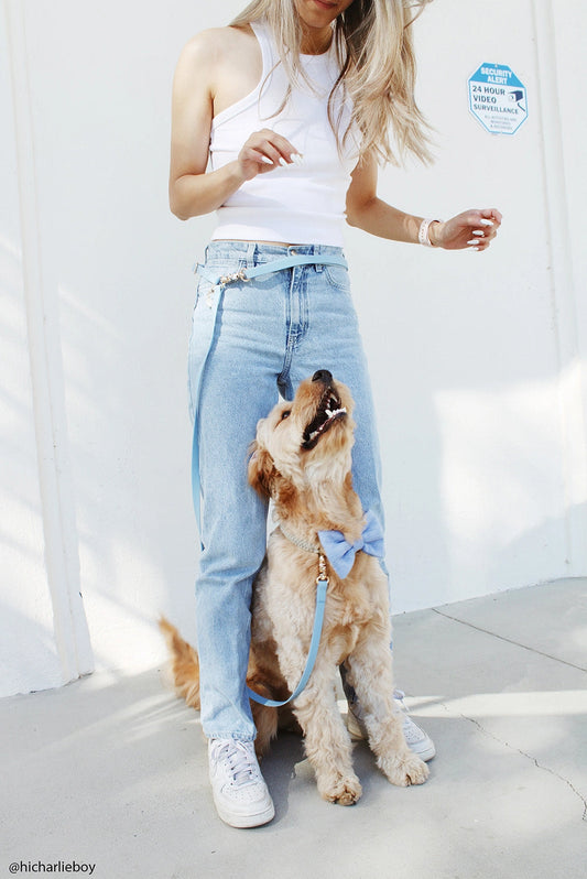 Laisse mains libres convertible 4 en 1 – Pistache