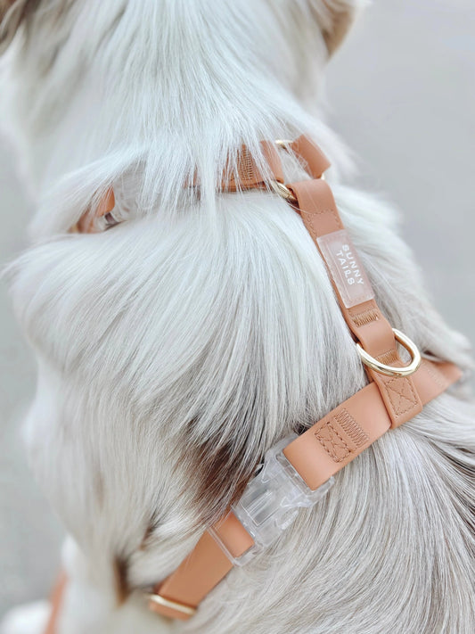 Cloud Lite Dog Harness – Chai Brown