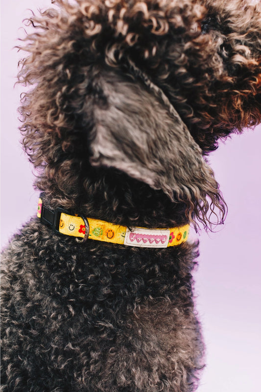 Smilies & Ballies Pet Collar