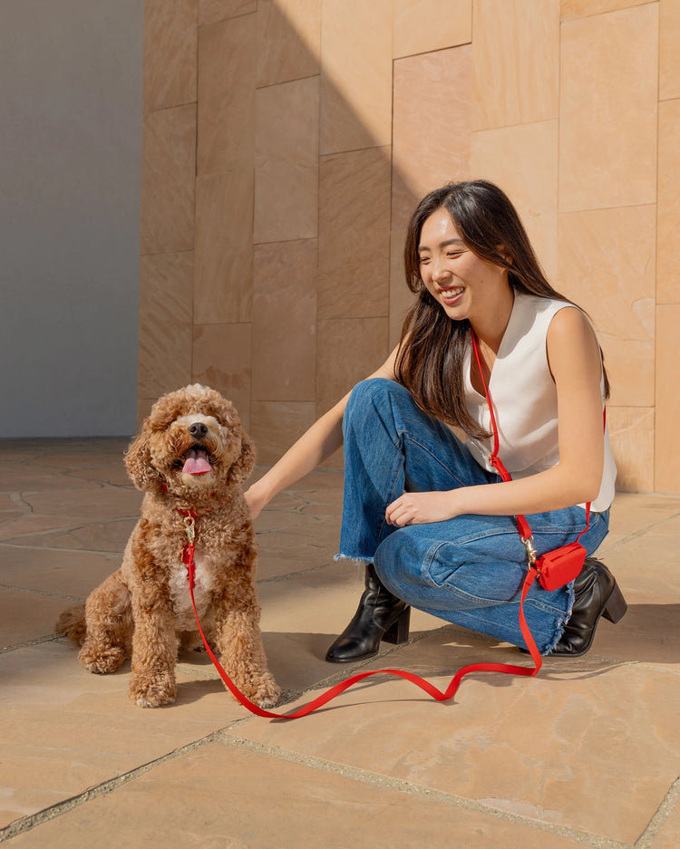 Ember Snap Dog Treat Pouch