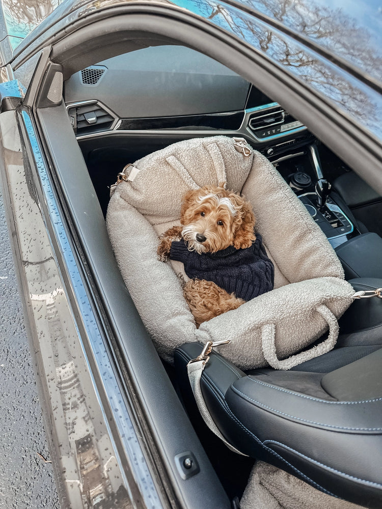 Dog in a car seat inside a vehicle
