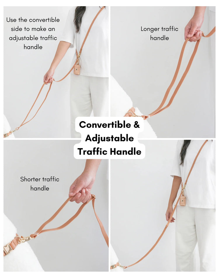 Laisse mains libres convertible 4 en 1 – Pistache