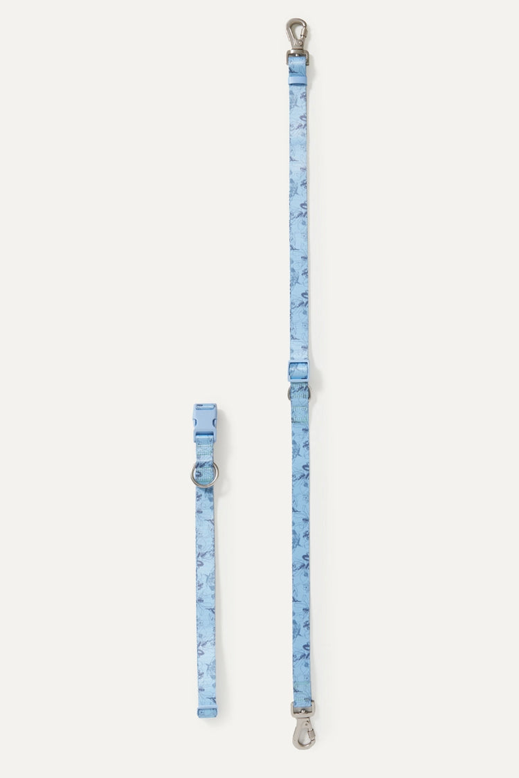 Laisse mains libres Bridgerton X maxbone