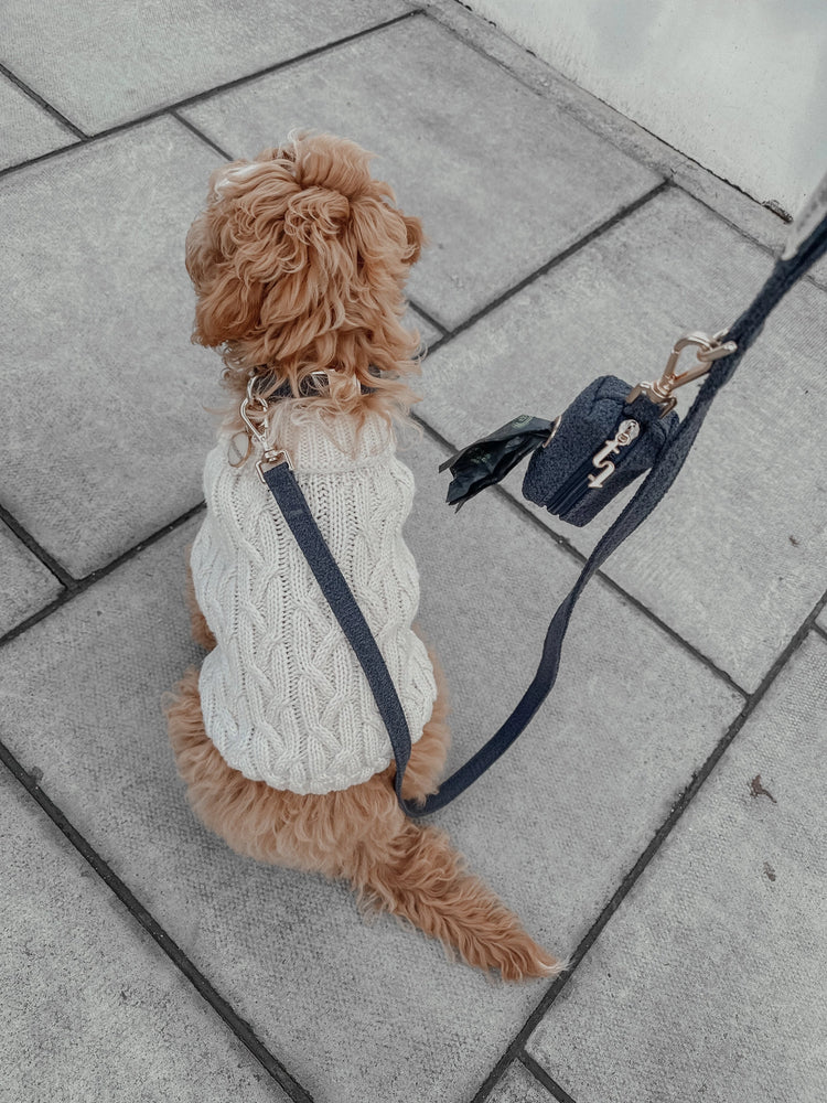 Laisse Bouclé – Midnight