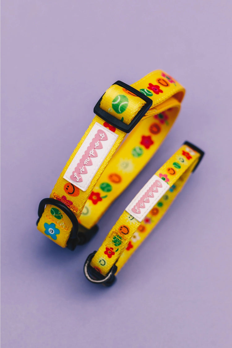 Smilies & Ballies Pet Collar