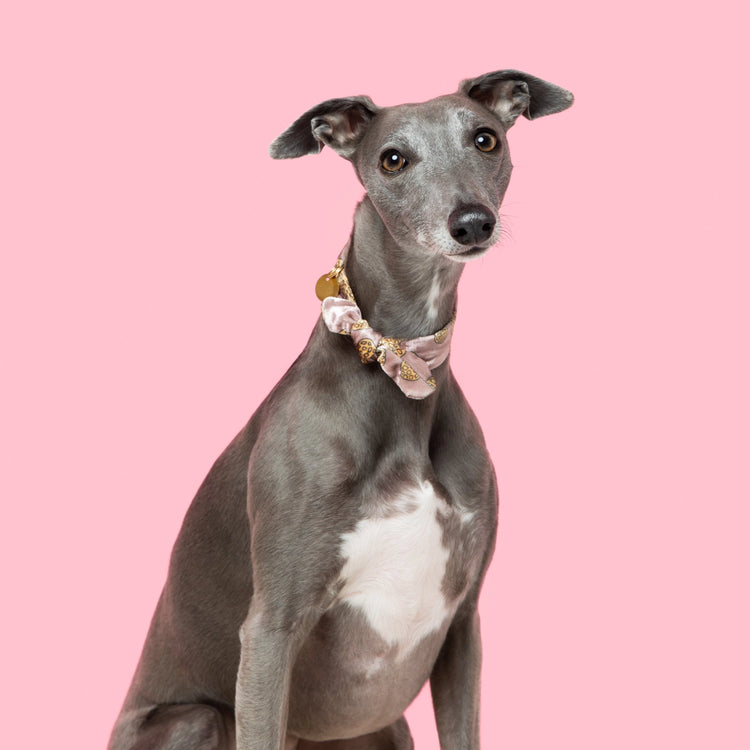 Necktie – Beurre de cacahuète