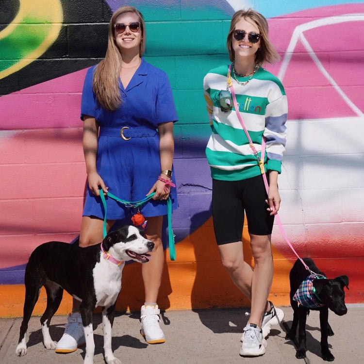 The Fritz Leash – Pink & Yellow - Kitsune & Jo