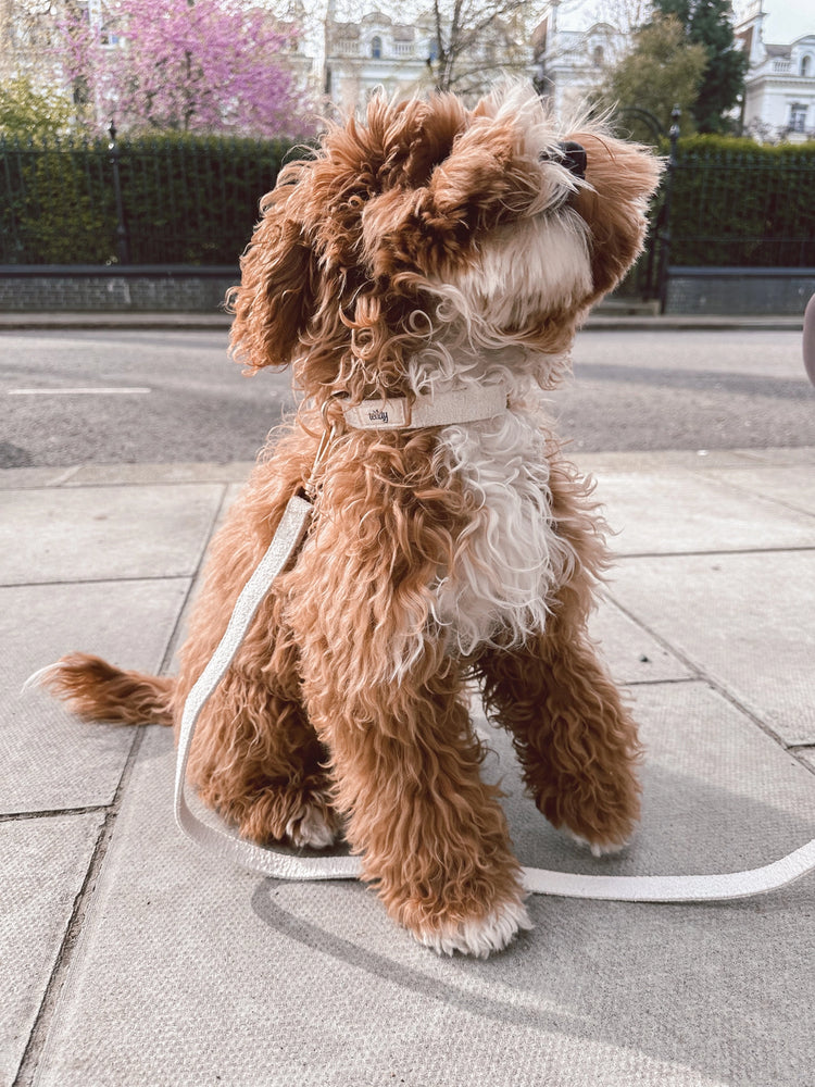 Bouclé Collar – Marshmallow