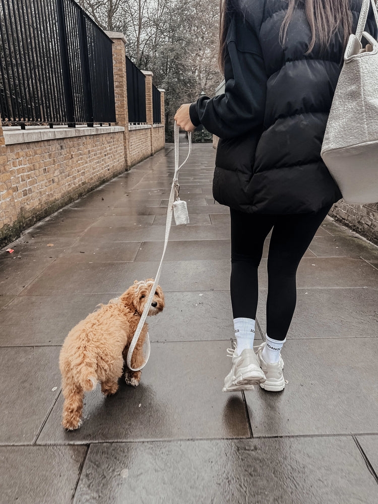 Laisse Bouclé – Marshmallow