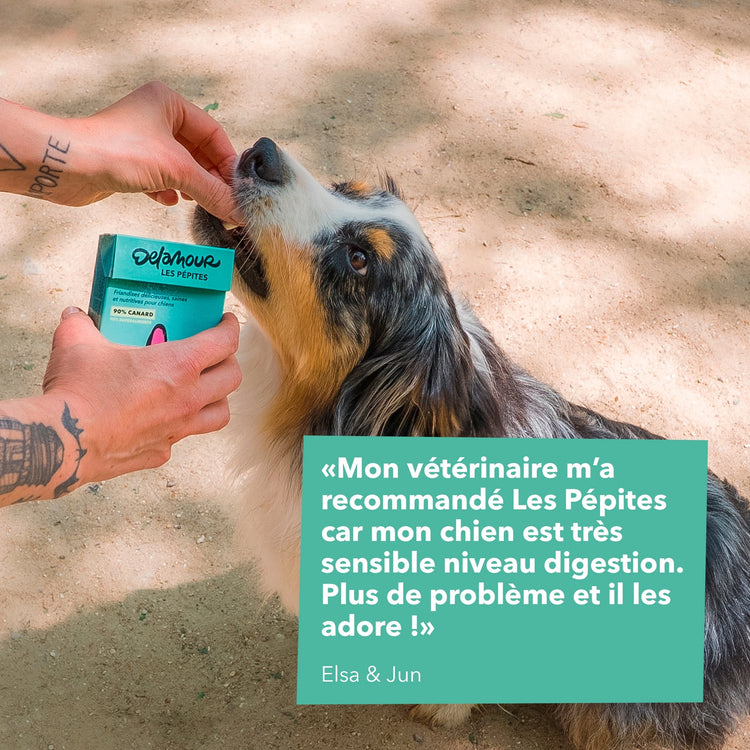 Les Pépites - Air-Dried Duck Snacks