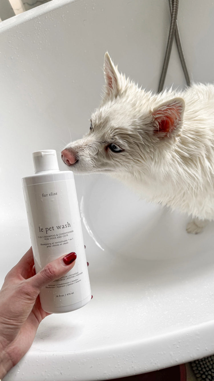 Le Pet Wash