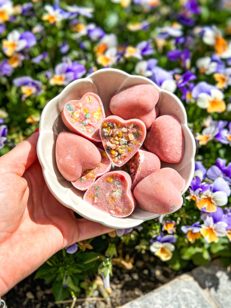 Ice-Cream Mix with Real Chicken & Strawberry For Pets